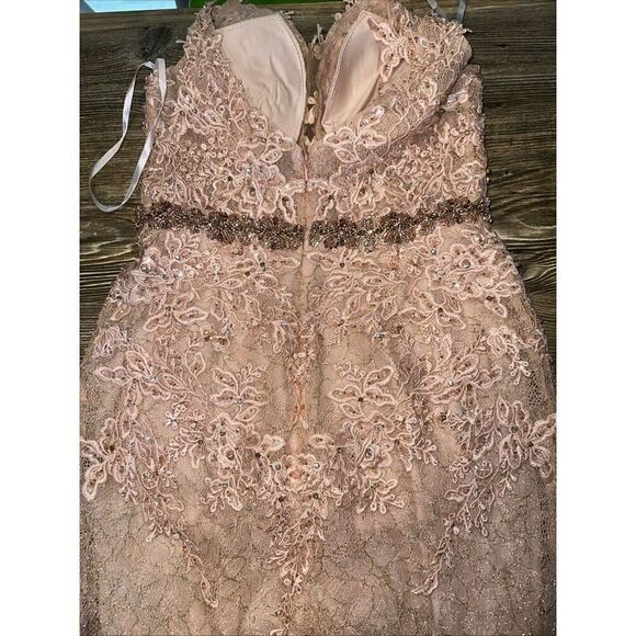 Mac Duggal A79341 Appliqué Sleeveless Plunge Neck Trumpet Blush Gown. Size 2. 17 - Picture 8 of 15